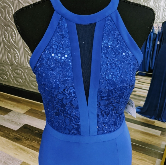 NWT Royal Blue Jersey & Lace Dress - Picture 3 of 4